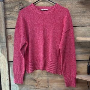 Everlane Heathered Crewneck Sweater
